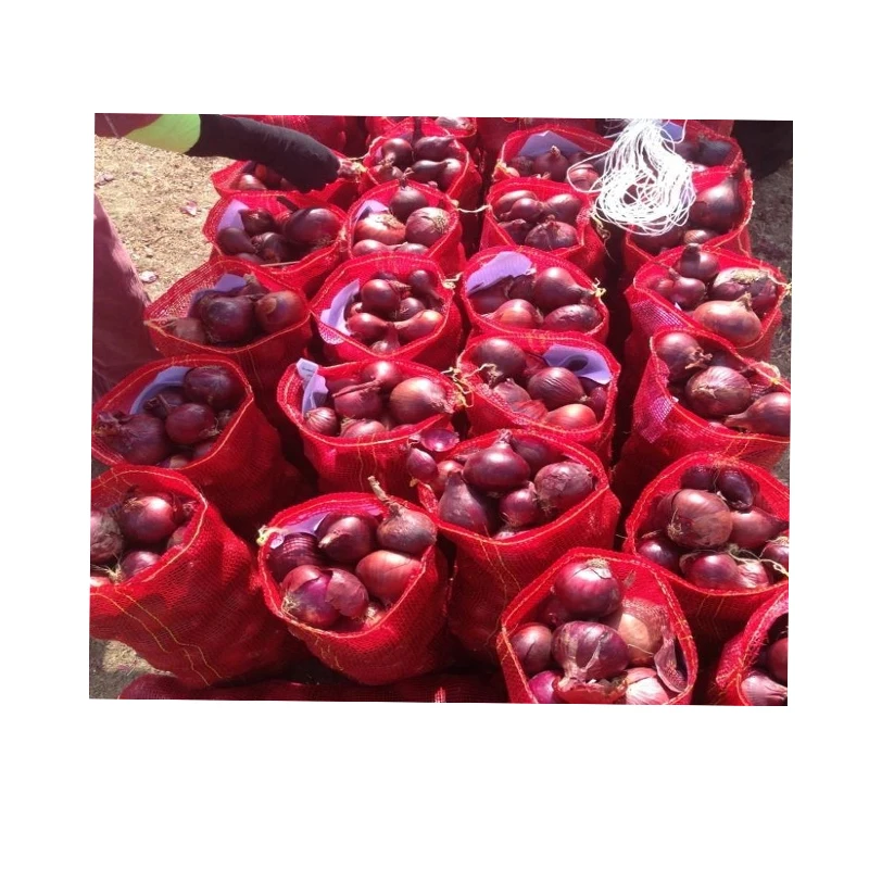 Best choice and best discounts Fresh Red Onions sweet  Onions lowest price  onion specification fresh for sale