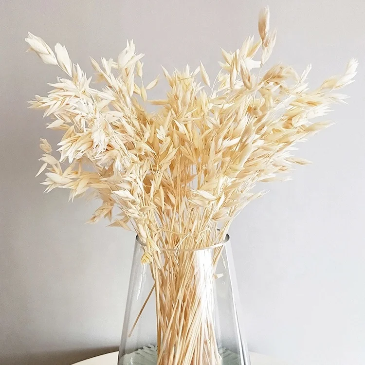 summer flora Garden decoration material natural colour flower dried flower wheat