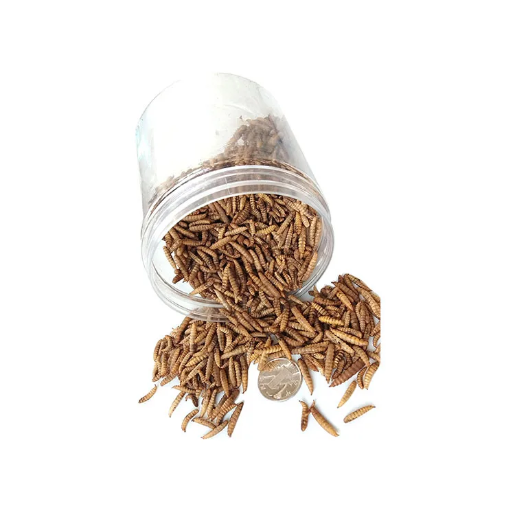 China Supplier Wholesale high nutrition high protein fish bird snack food larvae dry black soldier fly for sale