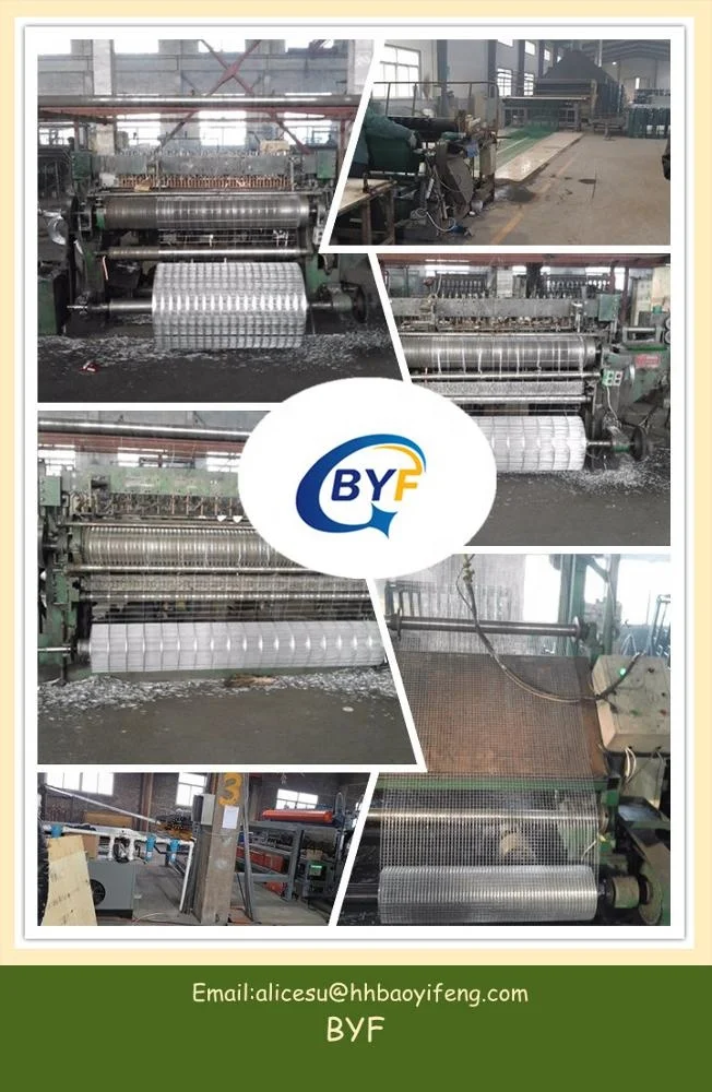 China Factory Galvanized Welded Wire Mesh For Garden