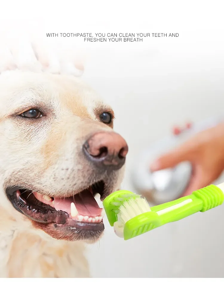 New pet three-head toothbrush General oral cleaning tooth care pet soft bristle toothbrush for cats and dogs