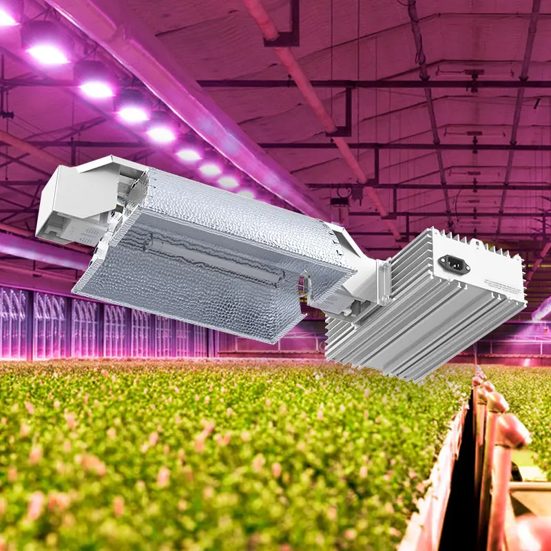 Hot Selling In Usa Eu Oem Dimming Hps 1000w Replacement Small Grow Light Fixture Grow Lights