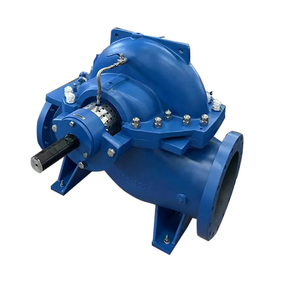 Centrifugal Sewage Impurity Sand Extraction Horizontal Slurry Pump