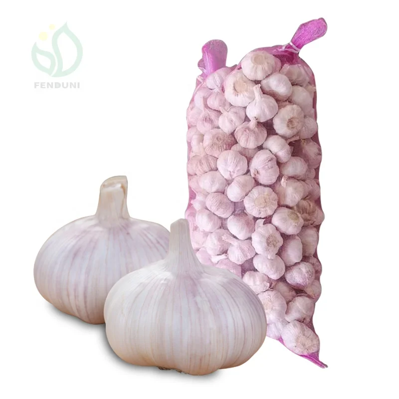 Chinese Factory Garlic Ajo Ail Alho Fresh Garlic with 10kg/20kg bag loosely Garlic
