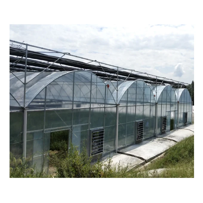  Multi-span Plastic Tunnel PE/ PO Film Agricultural Greenhouse with Hydroponics System Cheap