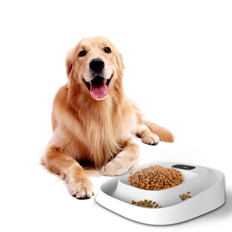 2023 Zhejiang New Arrival OEM Cat Dog Smart Feeding Bowl Pet Food Scale electric scale with bowl