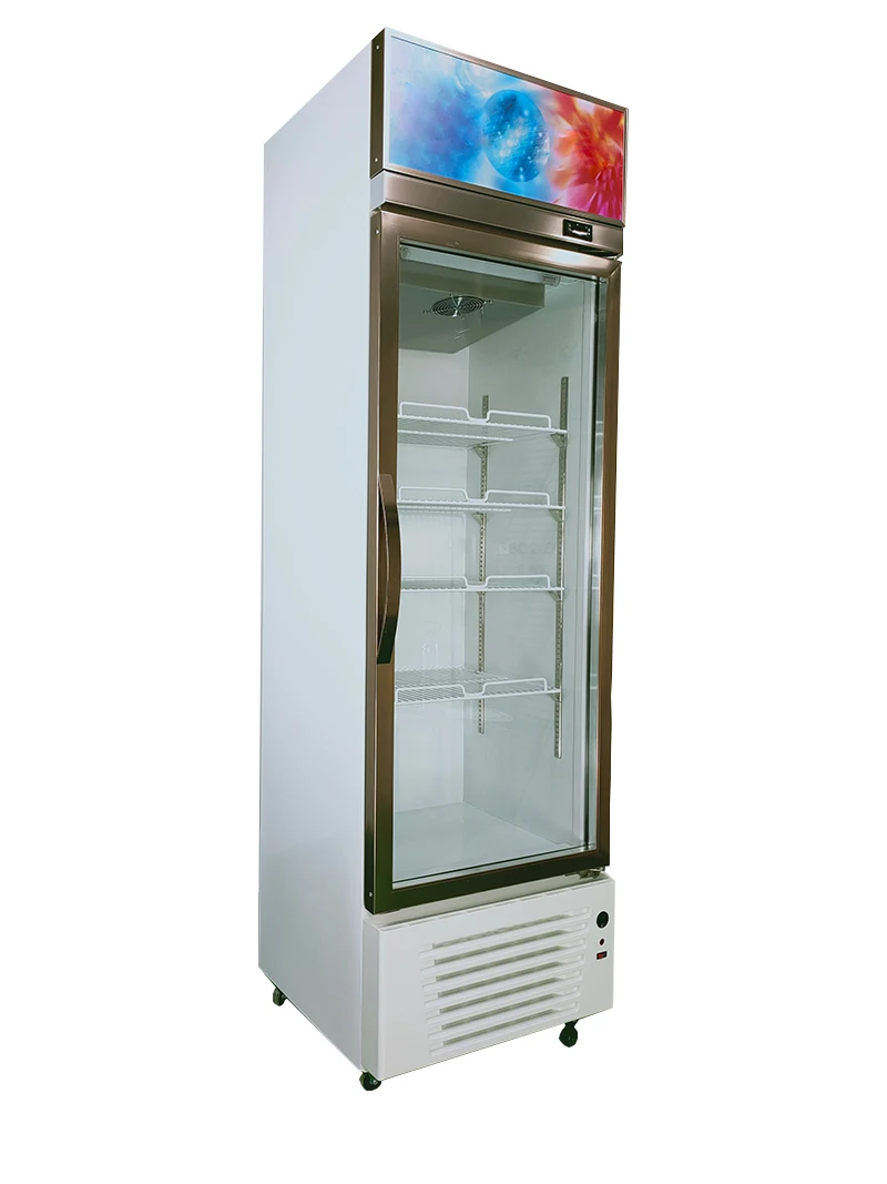 Upright Freezers Mini Drink Cola Glass Door Chiller Refrigerator Beverage Coca Display Cooler Cola Fridge Price