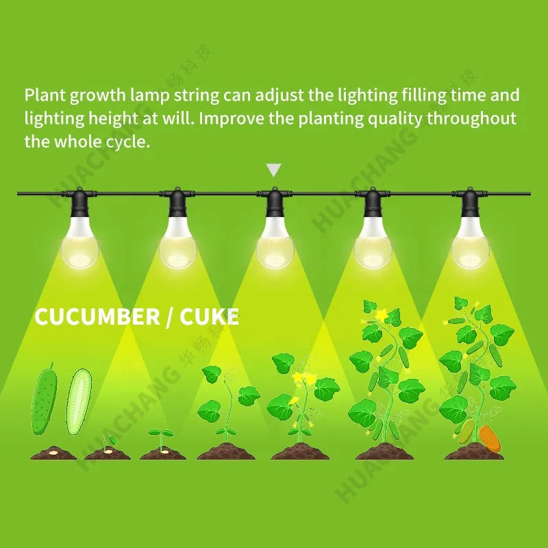 Full spectrum of cucumber or cucumber plant supplement lamp growth lamp