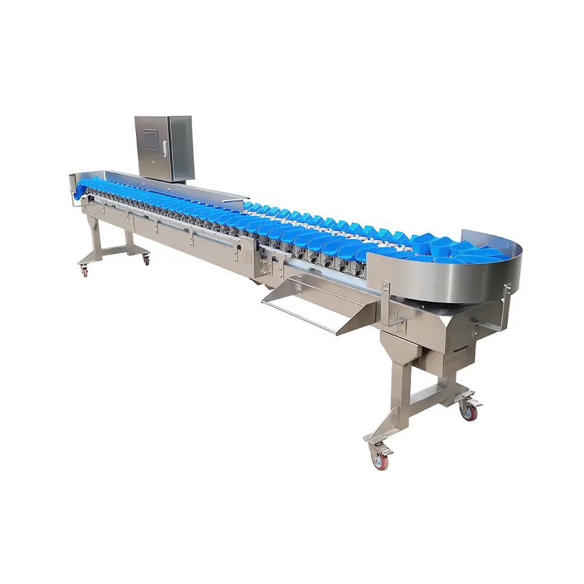 Развлекательное колесо многоуровневый сортировщик взвешивания с вибратором для сортировки овощей