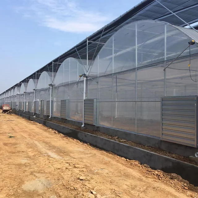 High Productivity Large Plastic Shed metal frame Motor-Ventilated Film Greenhouse