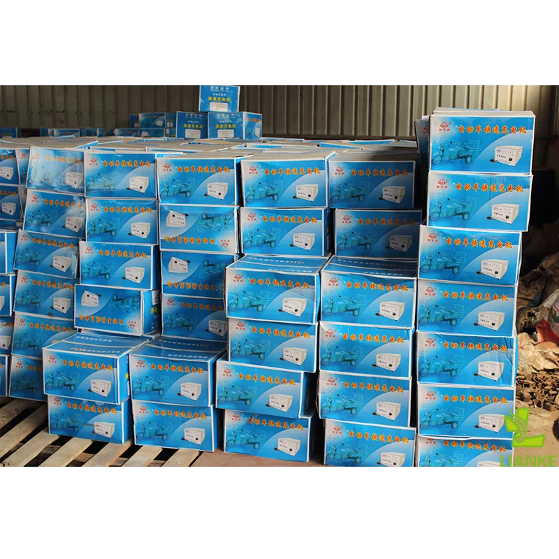 48V/60V/72V customized country voltage 220v/110v electric tricycle mining dumper charger for lead acid water battery in Peru