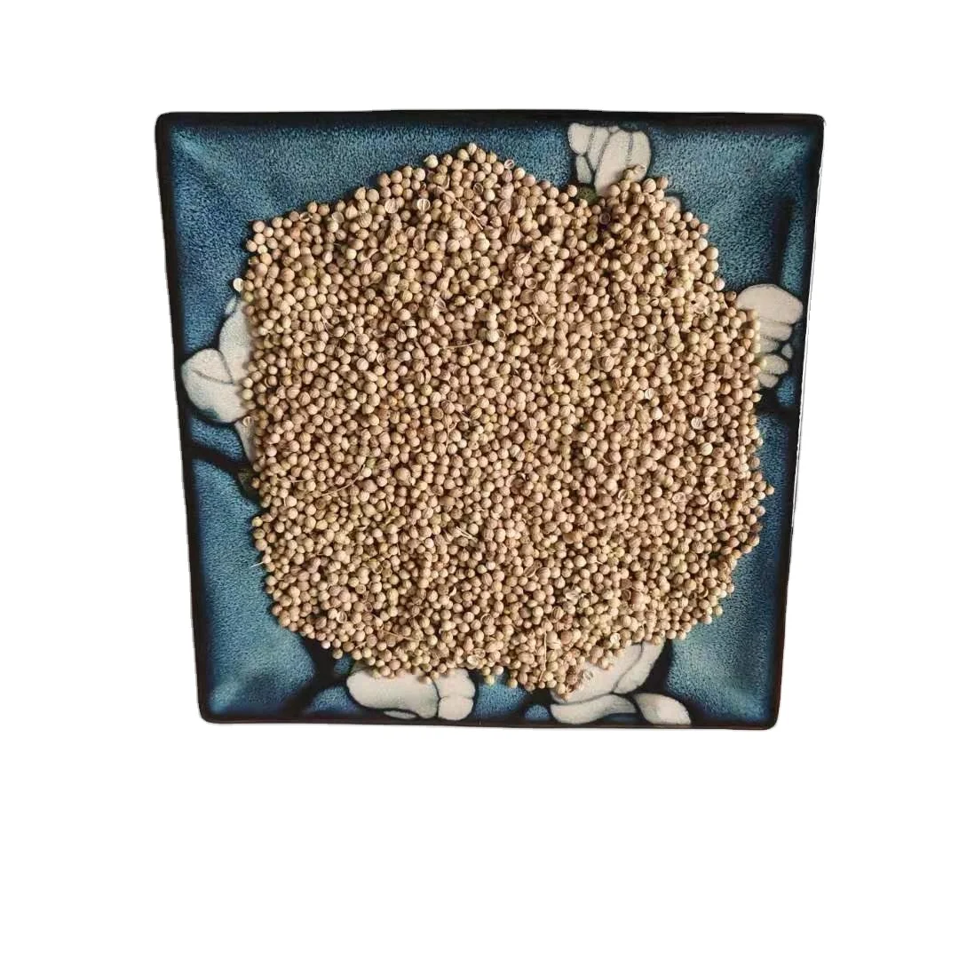 Made in china natural fresh raw material spice Coriander Seed