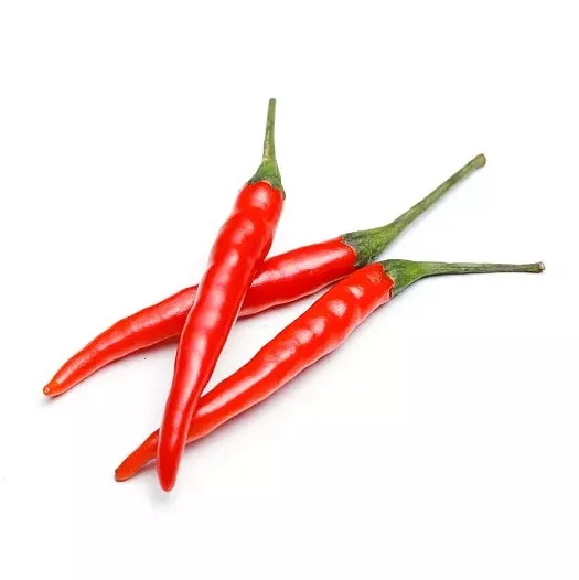 Factory supply fresh frozen red chili Frozen Cut Diced Hot Red Chili Pepper from China frozen chili