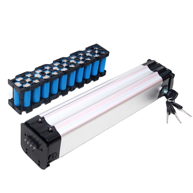 Rechargeable Silver Fish Electric Bicycle Battery Long-life Lithium-ion Battery