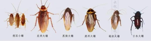 paste-pic-dp_uuid_nsy96