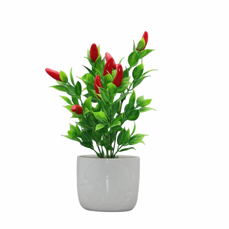 Red Ceramic Garden Pot Malaysia Botanical Design Flowerpot color ceramic succulent pot