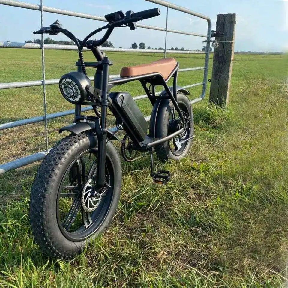 Charging japanese electronic 1000w 48v e-bike bicycle ghana plegable enduro bicicleta de ciudad electrica electric motor bike