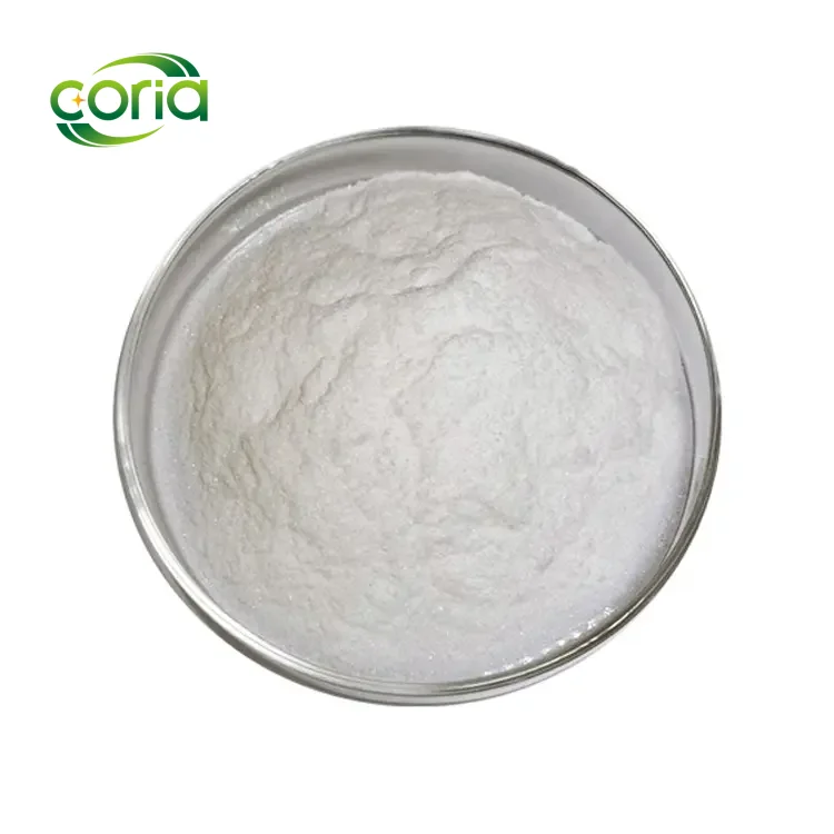 Probiotic Food Supplement Lactococcus Lactis Hot Sale Organic Lactococcus Lactis Low Price