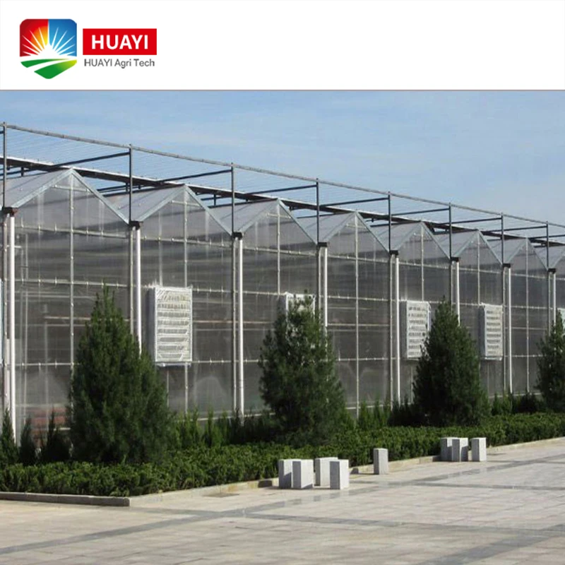 Large span commercial PC Sheet Greenhouse agriculture buy from China best price