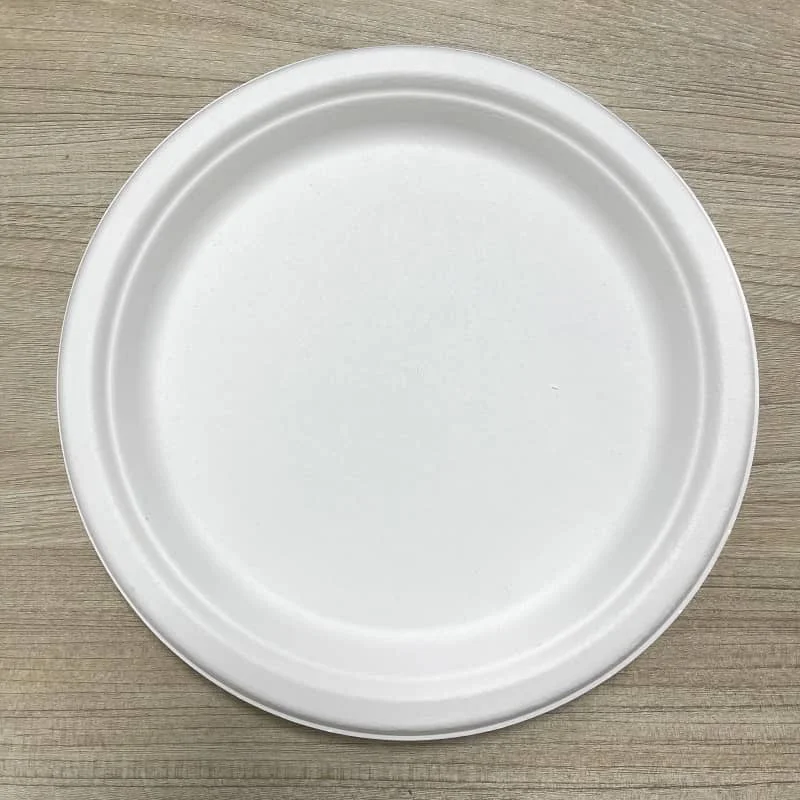 Modern Style Biodegradable Disposable Paper Plate for Restaurants and Parties Sustainable Eco-Friendly Design