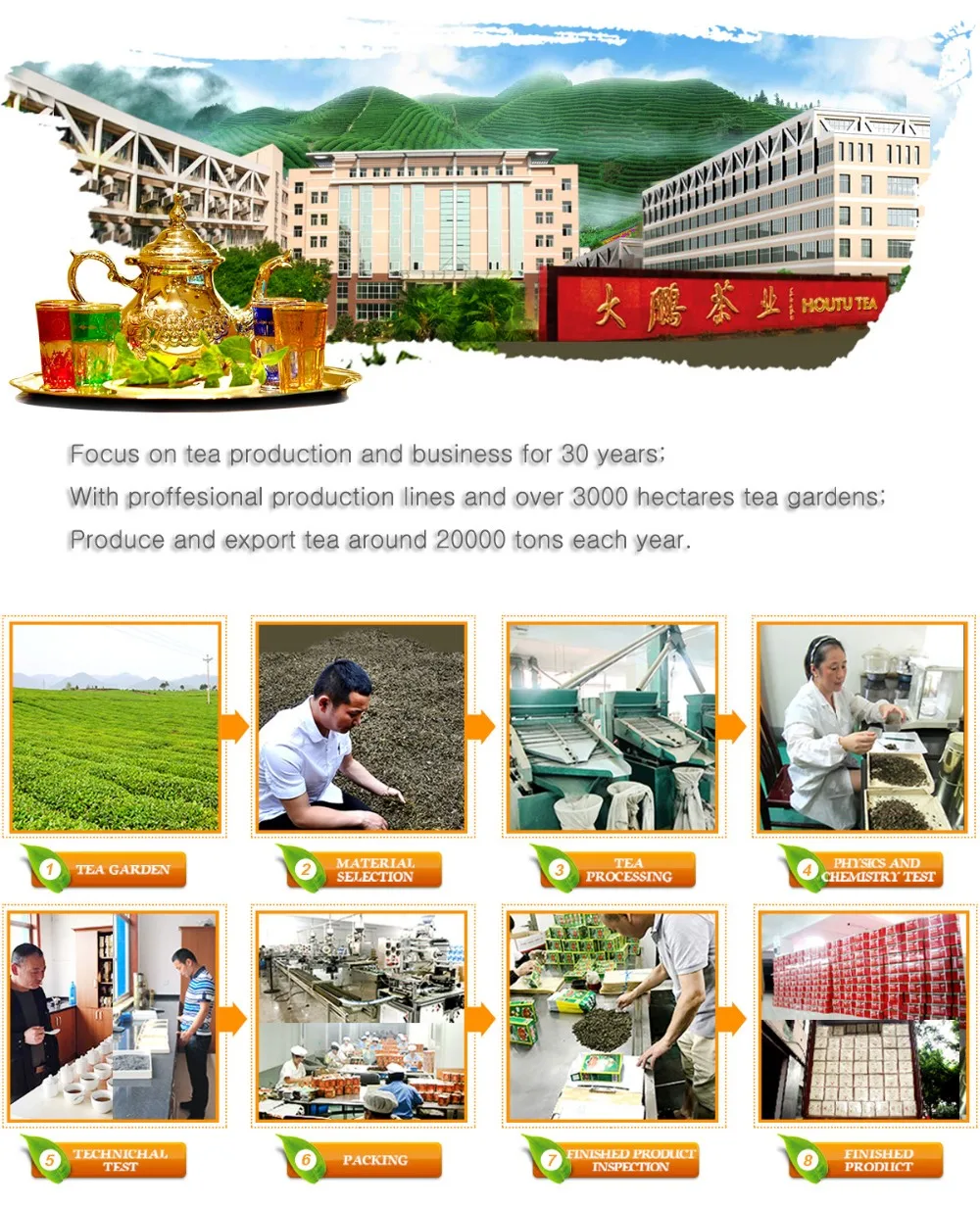 Organic Chinese Green Tea Vert de Chine 4011 Chunmee Loose Leaf Health Tea for Weight Loss Packaged in Bulk Boxes
