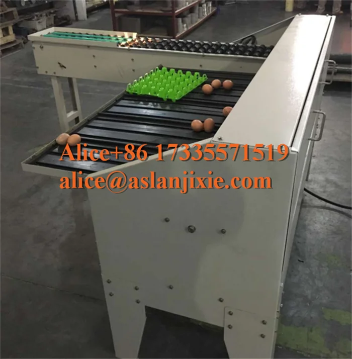 Egg plant egg grading machine/ goose egg weight sorting machine/duck Egg  size selecting machine