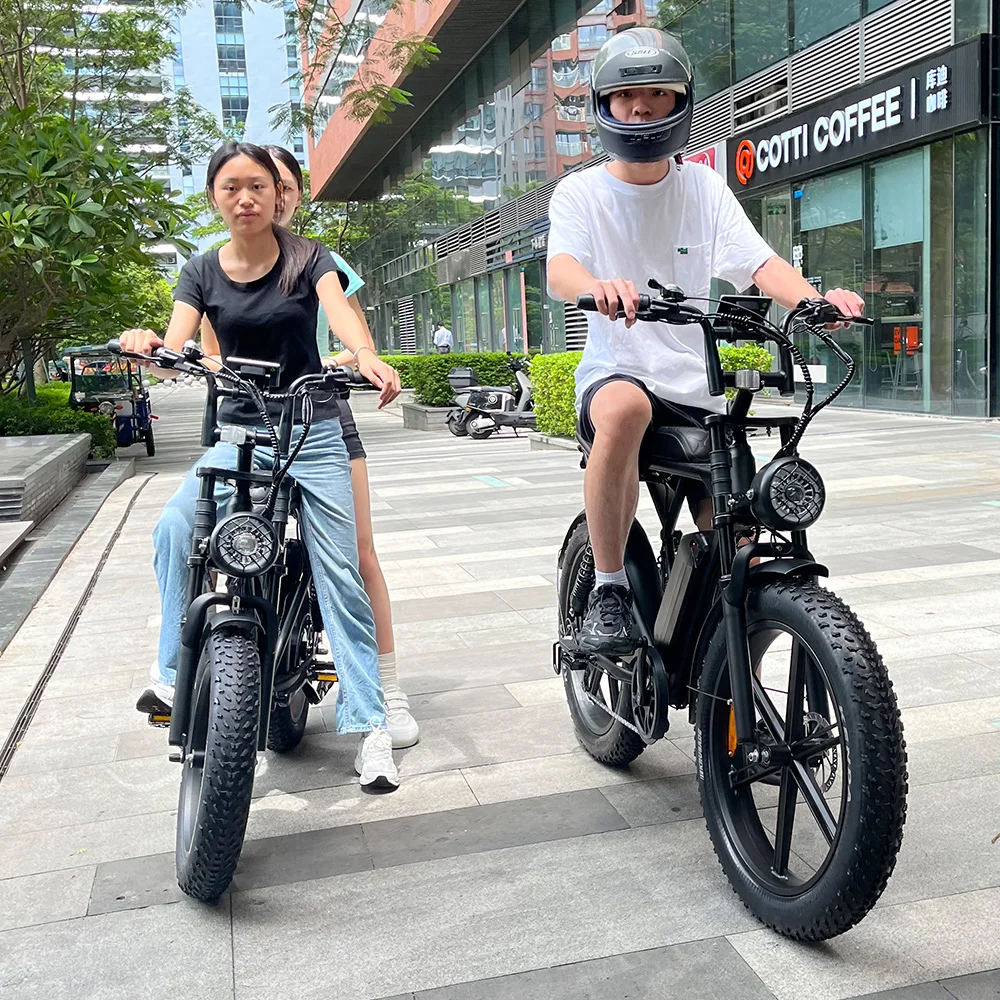 V8 Pro Plus 1000W 48V Electric Bike for Adults Dual Shock AbsorbersFat Tire Ebike 24 Inch Electric Off-Road Mountain Bicycle