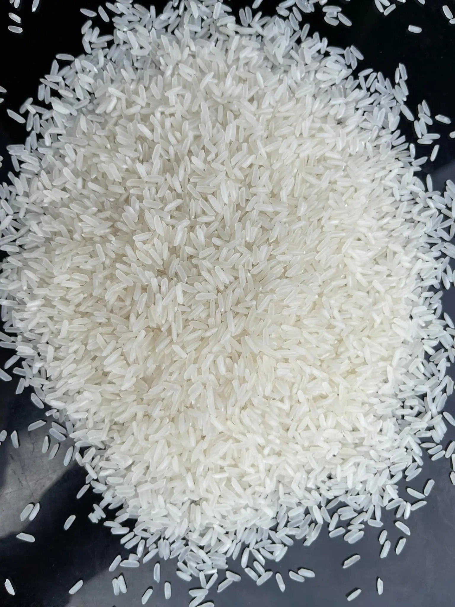 PREMIUM QUALITY JAPONICA RICE GOOD PRICE 3% broken for wholesale Sushi Rice Camolino from Vietnam- LINDA WHAT.SAPP 0084989322607