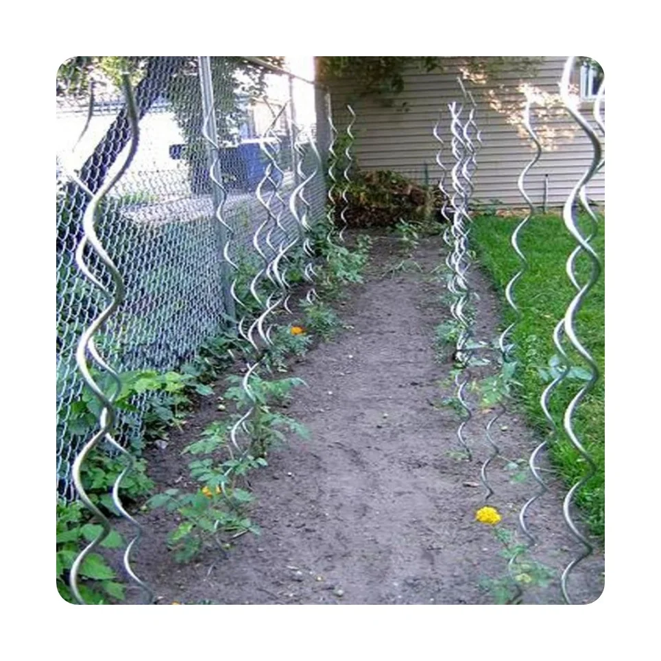 Galvanized Steel tomato support cage spiral stakes for tomatoes For Tomato