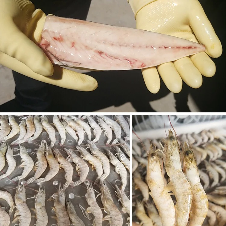 Морозильная камера для куриных макаронных изделий быстрое замораживание жидкого азота