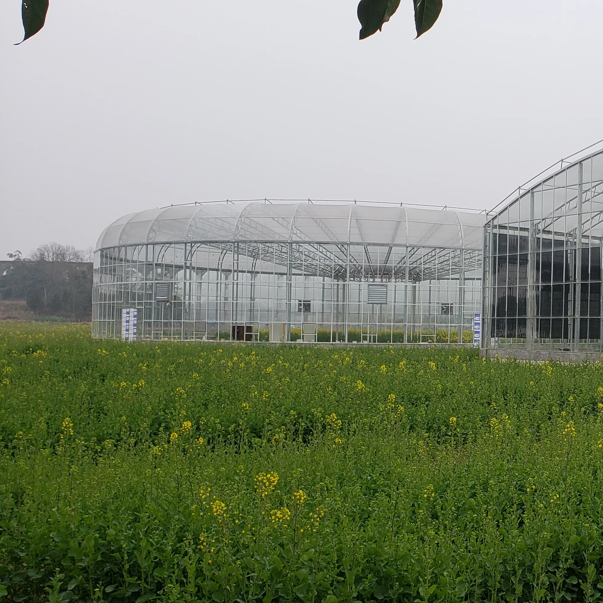 Spherical greenhouse, high-end customization