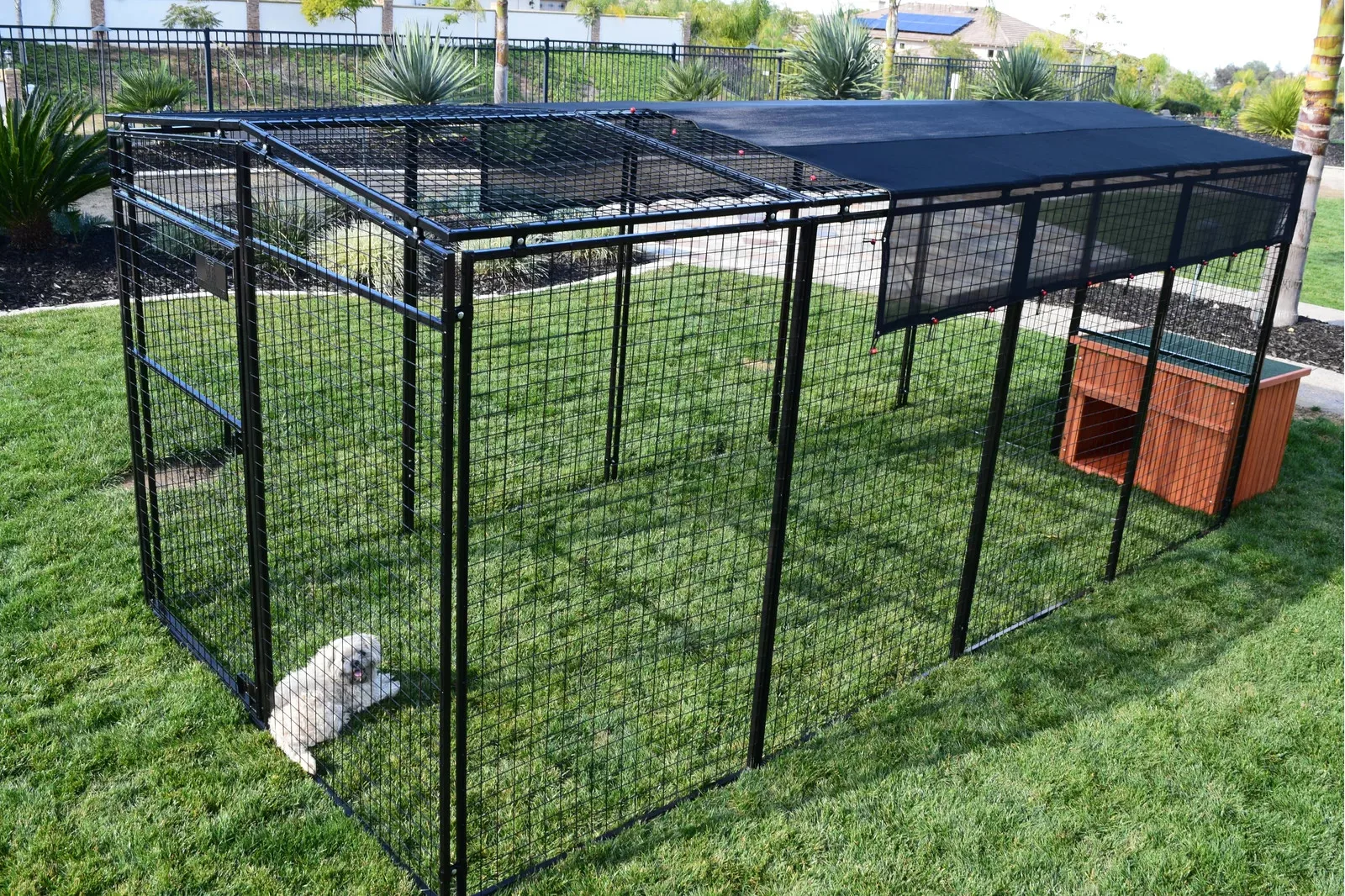 welded wire dog fence.jpg