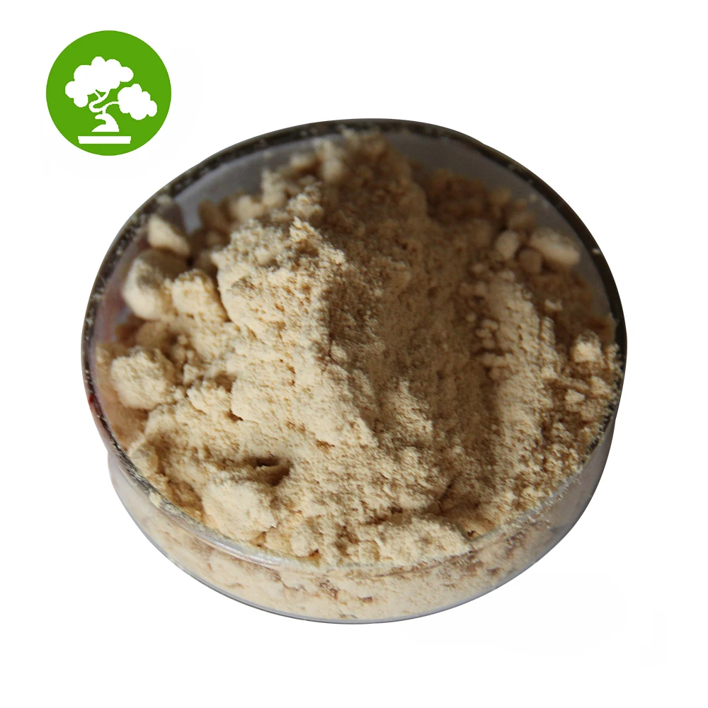 Bulk Stock Best Price Buy Bacillus Subtilis Powder
