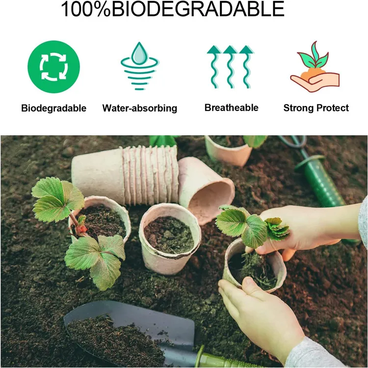 disposable Biodegradable paper Seed Starter Pots for starting flowers herbs vegetable saplings