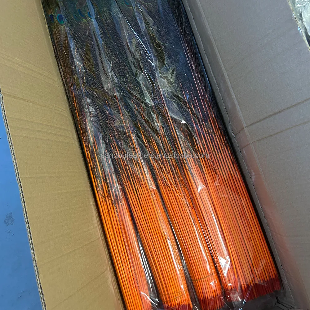 Wholesale orange peacock feather direct dyed peacock feather  carnival peacock clothes