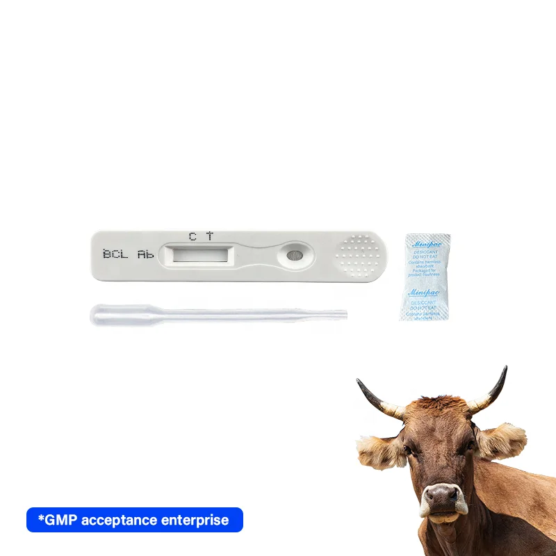 Высокоточное оборудование для анализа инфекционных заболеваний крупного рогатого скота антител устройства Быстрого Тестирования Антител brucella