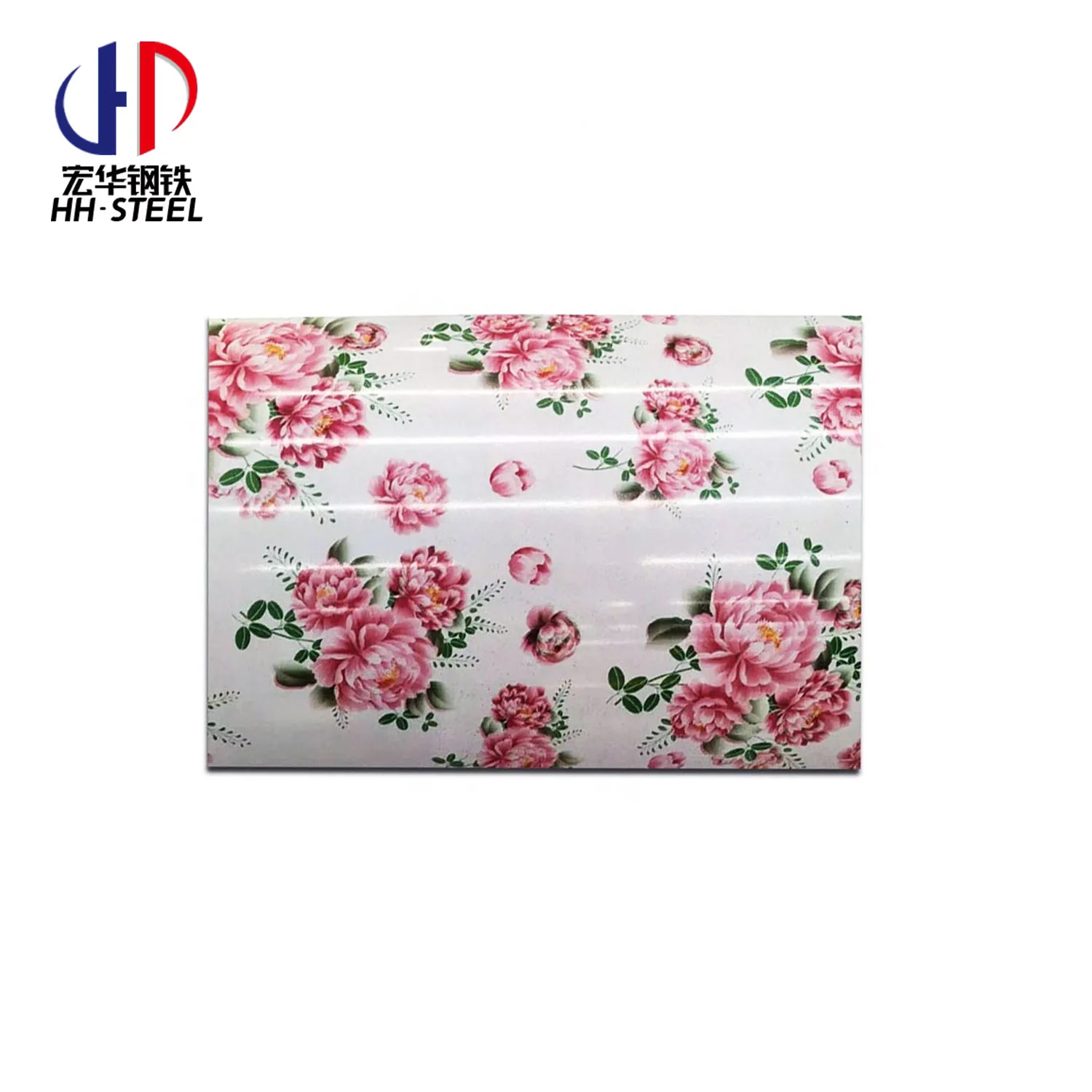 Competitive  Price  China factory  PPGI PPGL  Galvanized Steel DX51D  RAL9016 9003  galvanized  Steel Coil