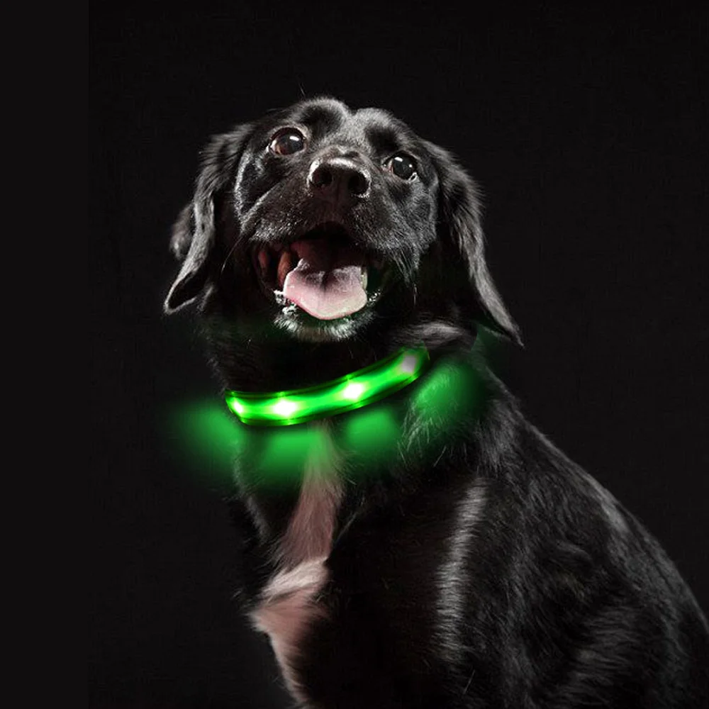 Manufacturers Waterproof Fluorescent Glow in the Dog Light Collars With Light for Dogs
