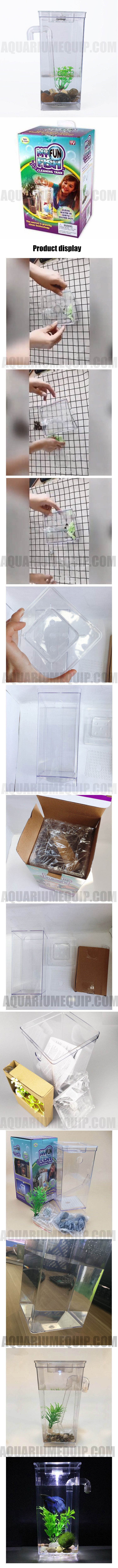 fish tank aquarium.jpg