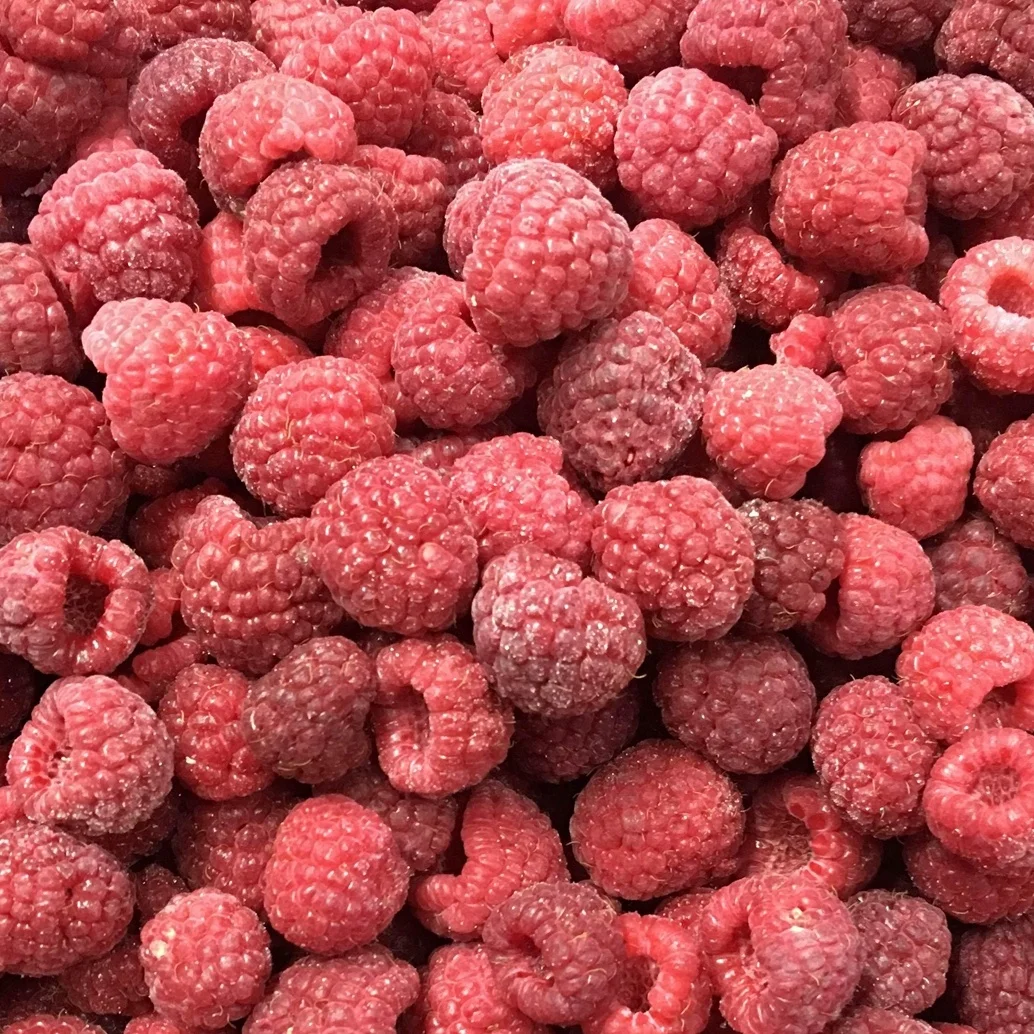 IQF Frozen Raspberry Crumble Raspberry Whole