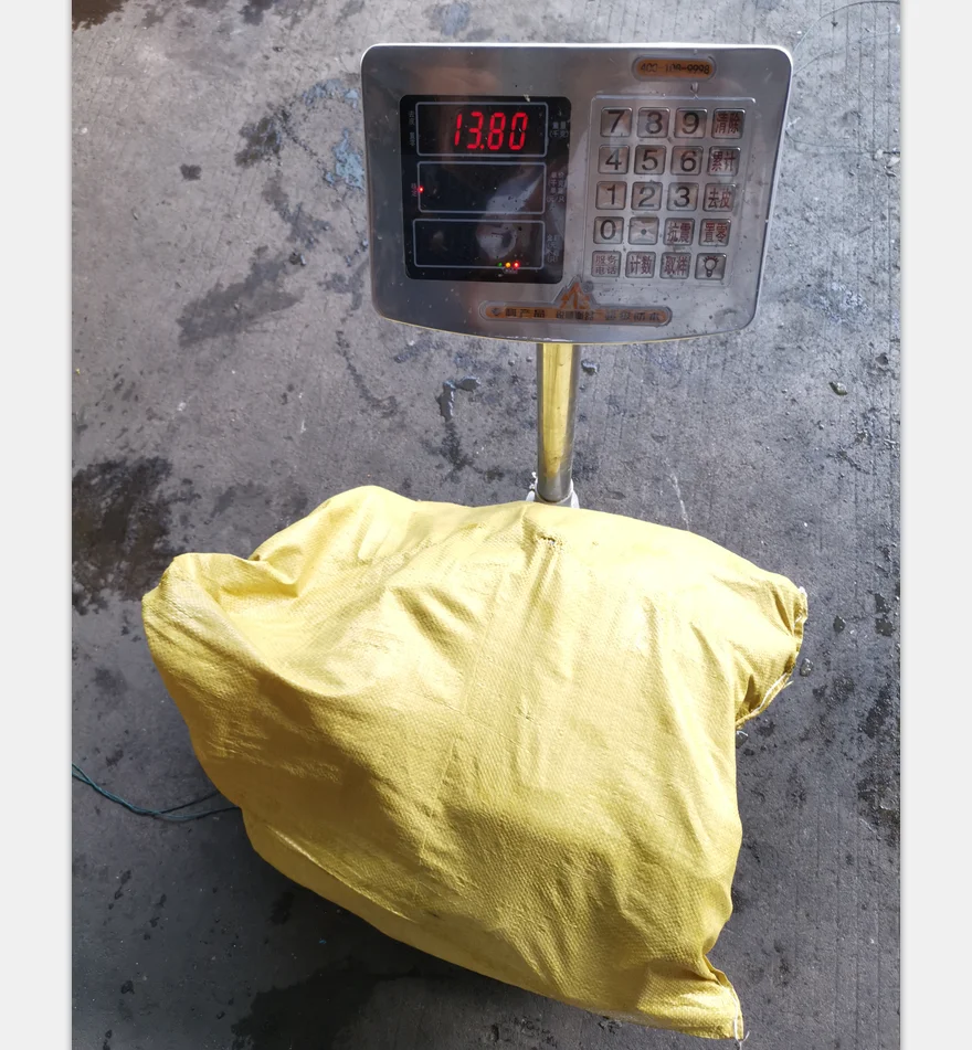 Sea frozen Striped Bonito Fish Sarda Orientalis