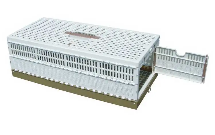 Foldable Cheap Racing Pigeon Basket, Poultry Pet Bird Transportation Cage Other Pet Products for Birds Manufacturer Direct Sale