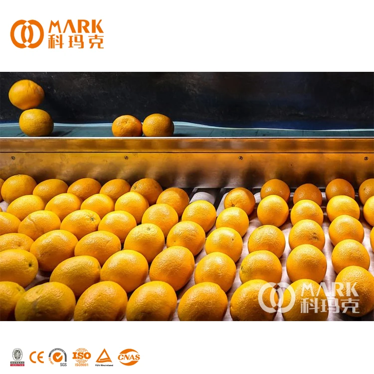 Auto Fruit Oranges Juice High Pressure Processing Making Package Machine Production Line Small
