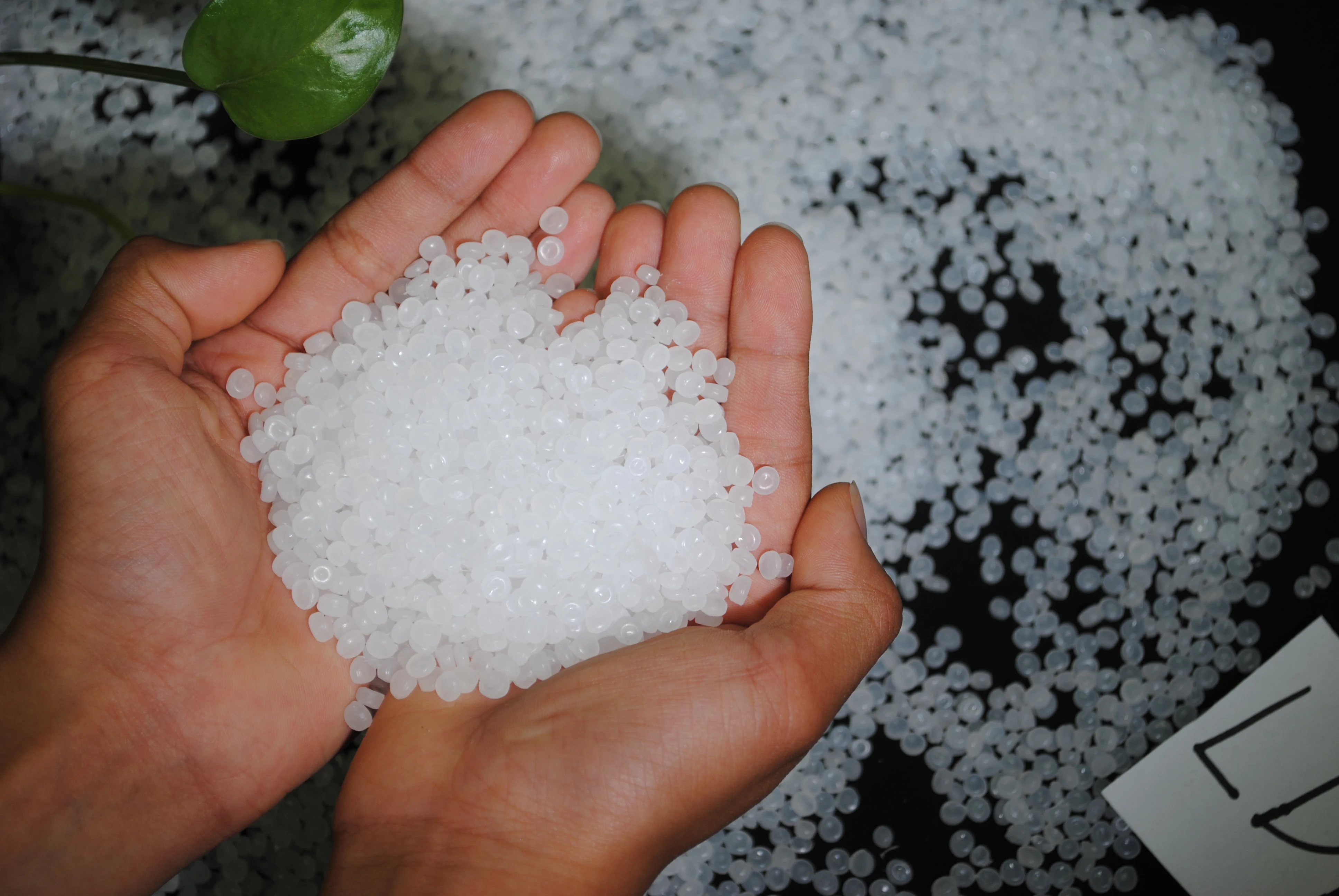 Blown Film Grade Low Density Polyethylene Raw Materials Virgin Ldpe Granules