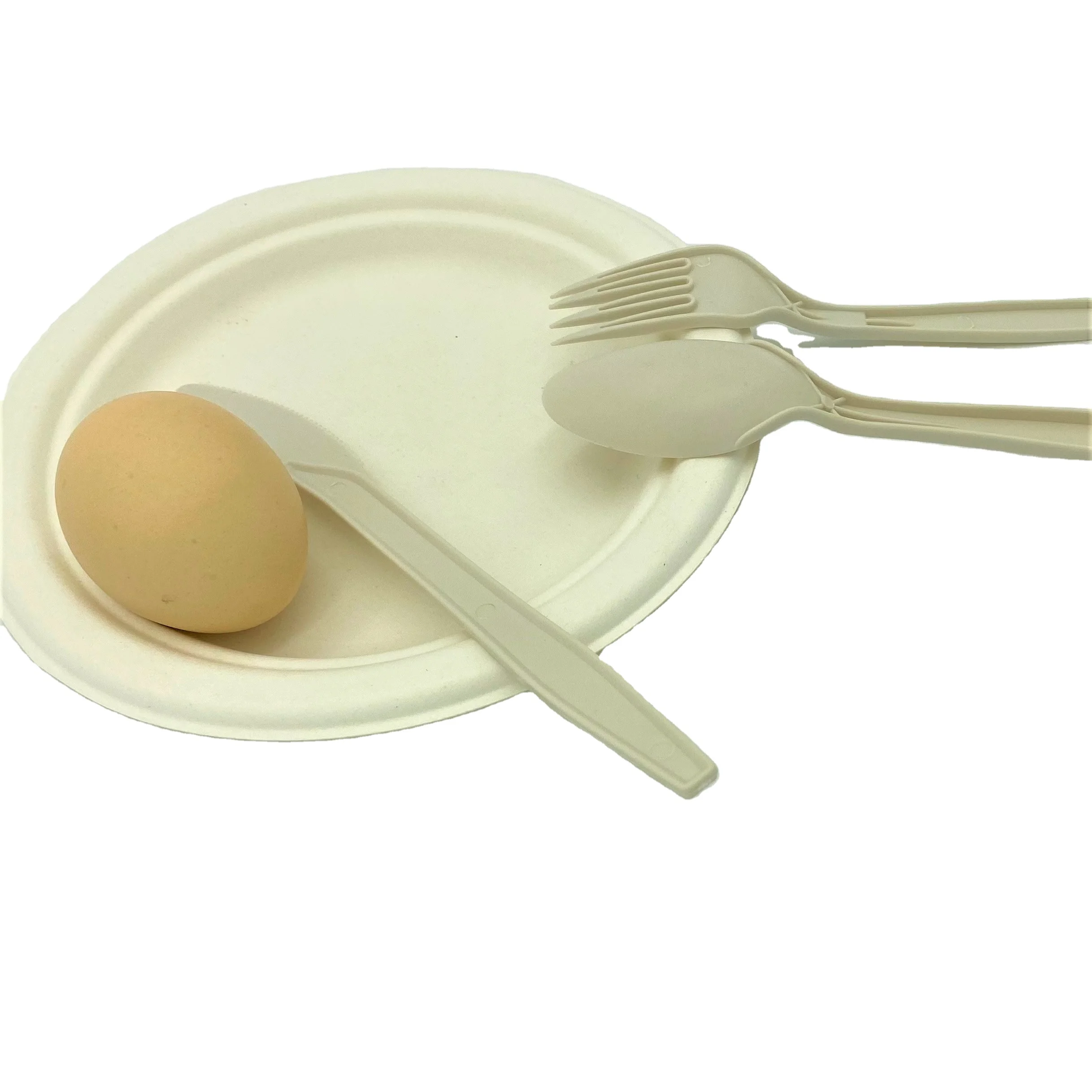 Custom Eco Friendly Individual Bag Plant Cornstarch Tea Soup Spoon Biodegradable Cutlery Disposable