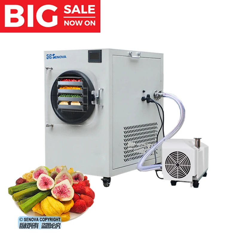 Small Mini Food Business Home Use Laboratory Lyophilizer with Oilfree Oilless Oil Free Dry Vacuum Pump