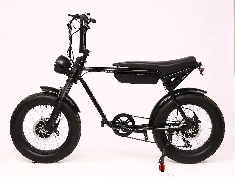 20 inch Super Power 48V 500W 750W Ebike Fat Tire Electric city Bike Super Electric Bike 73