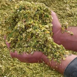 Premium Pure Protein Harvest Gold High-Quality Corn Silage, Perfect for Robust Animal Nutrition Animal Feed Exporter