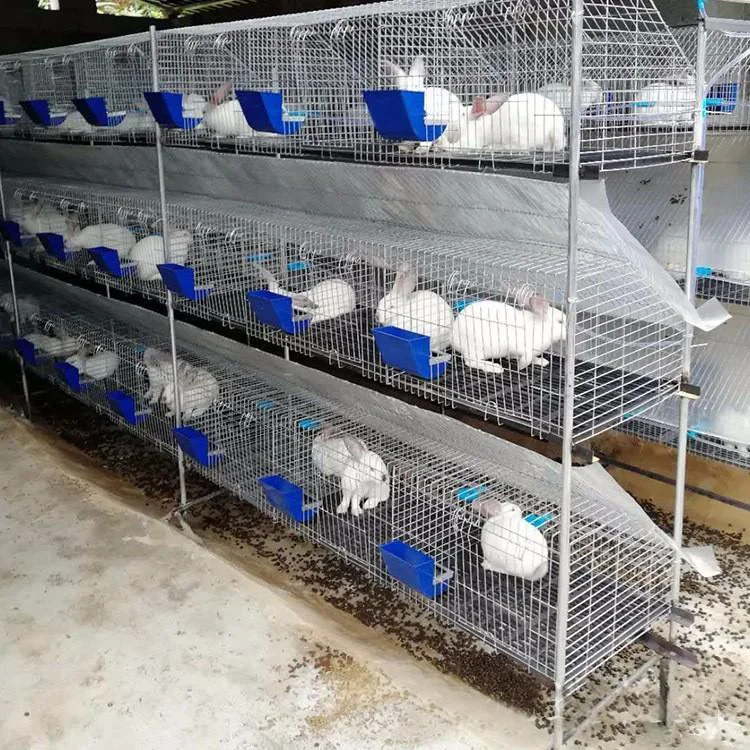 3 story bunny cage rabbit hutches for sale in kenya farm
