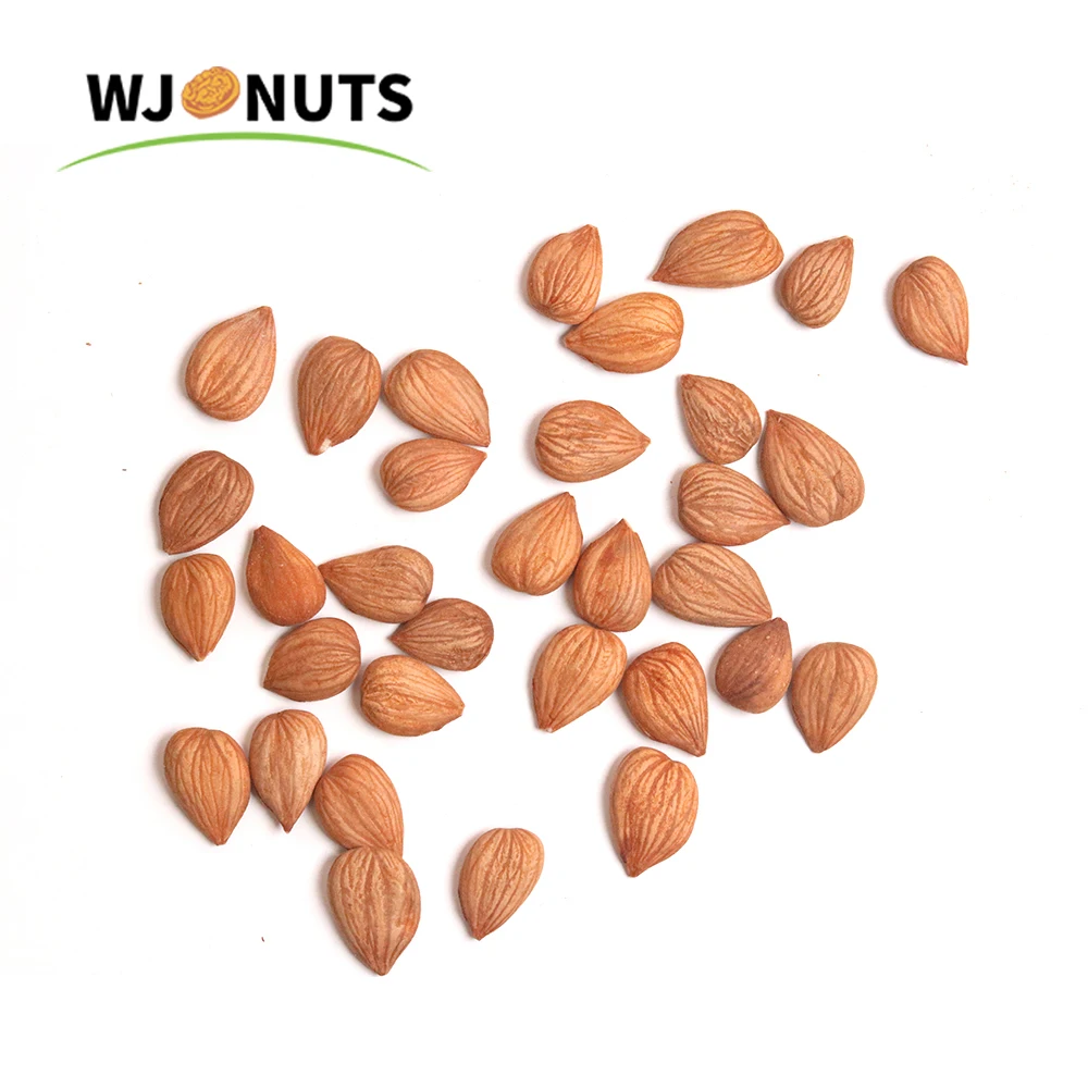 Wangjiang supply best price wholesale almond nuts almonds